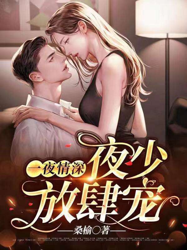 《一夜情深：夜少放肆宠》完整小说（全文在线免费阅读）